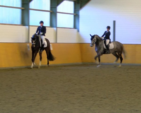 Reitturnier Frechen-Bachem 2023