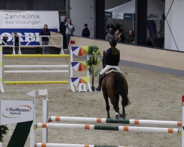 Reitturnier Borken 2023