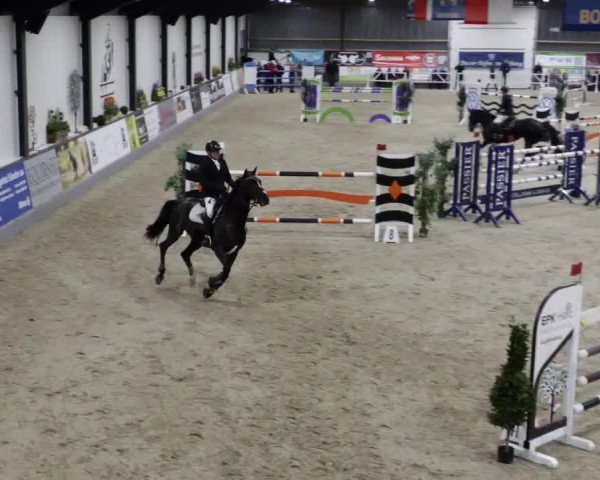 Reitturnier Borken 2023