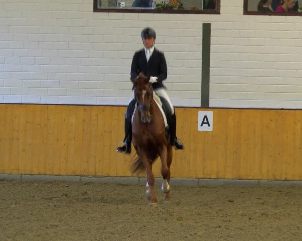 Reitturnier Frechen-Bachem 2023