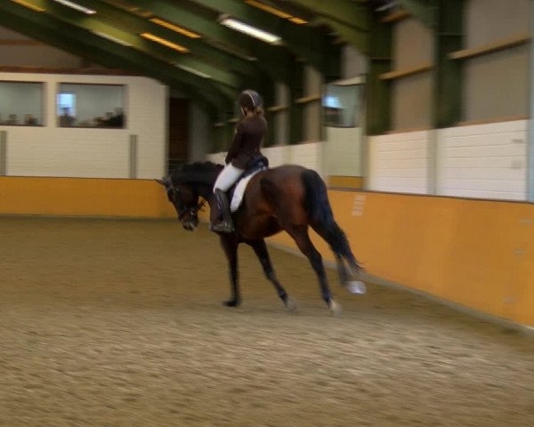 Reitturnier Frechen-Bachem 2023