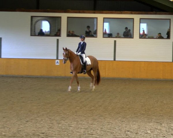 Reitturnier Frechen-Bachem 2023