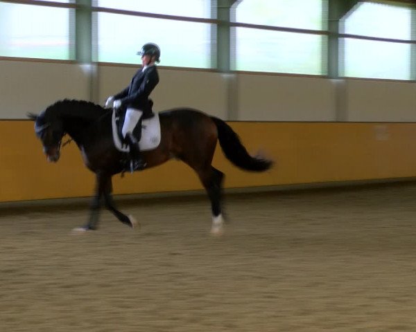 Reitturnier Frechen-Bachem 2023