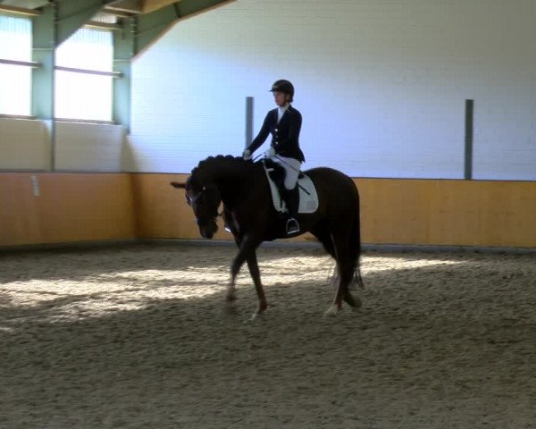 Reitturnier Frechen-Bachem 2023