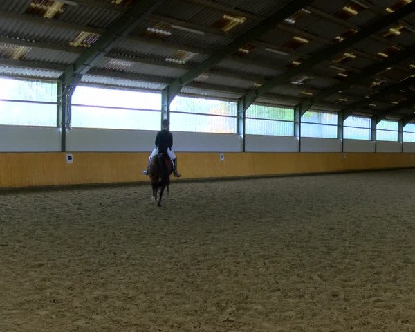 Reitturnier Frechen-Bachem 2023