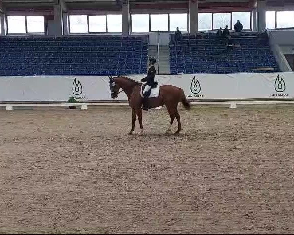 Video of Dante de Ymas