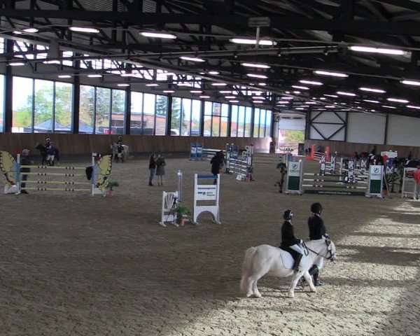 Reitturnier Zwickau 2023