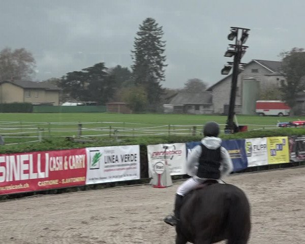 Reitturnier Giubiasco 2023