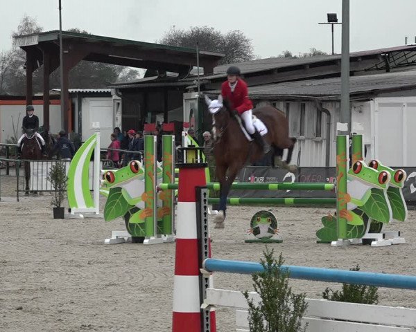 Reitturnier Giubiasco 2023