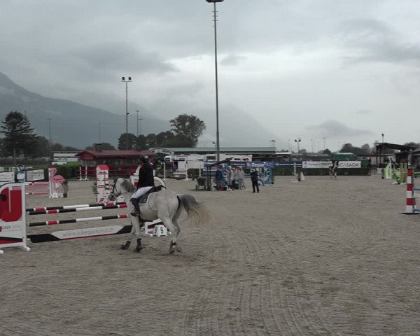 Reitturnier Giubiasco 2023