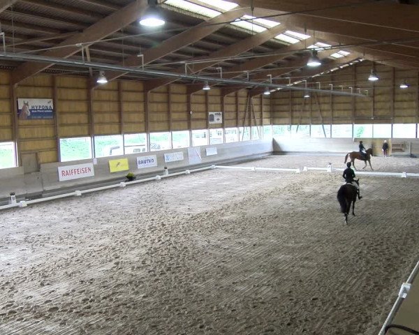 Reitturnier Urtenen-Schönbühl 2023