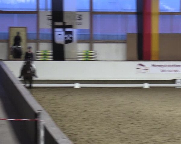 Reitturnier Marl, Hof Rohmann 2023