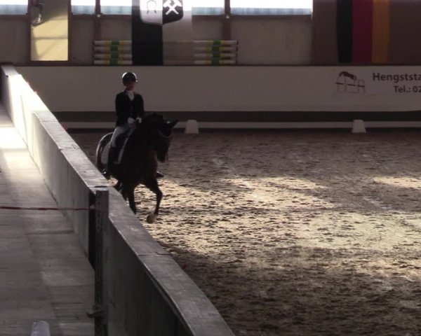Reitturnier Marl, Hof Rohmann 2023
