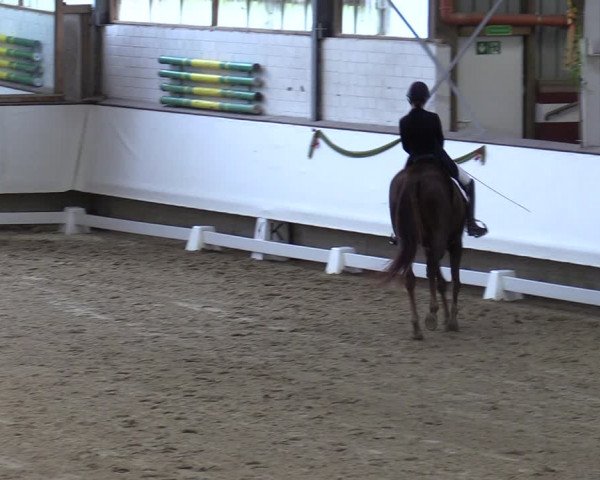Reitturnier Marl, Hof Rohmann 2023