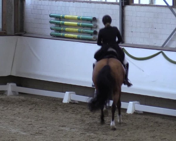 Reitturnier Marl, Hof Rohmann 2023