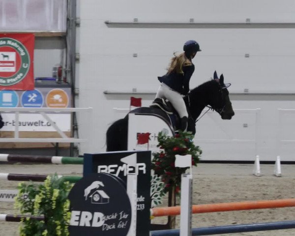 Reitturnier Borken 2023
