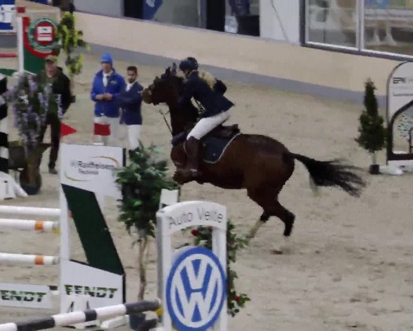 Reitturnier Borken 2023