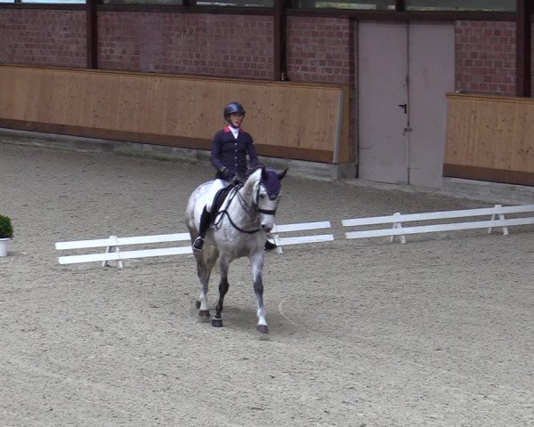 Reitturnier Hamburg-Friedrichshulde/Sylva Kuhrt 2023