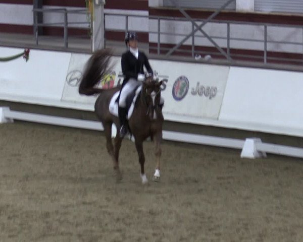 Reitturnier Marl, Hof Rohmann 2023