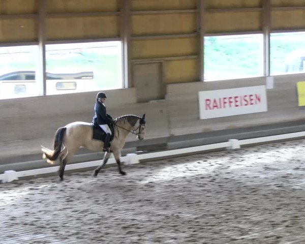 Reitturnier Urtenen-Schönbühl 2023