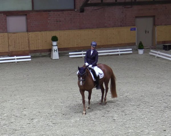 Reitturnier Hamburg-Friedrichshulde/Sylva Kuhrt 2023