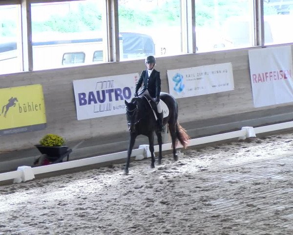 Reitturnier Urtenen-Schönbühl 2023