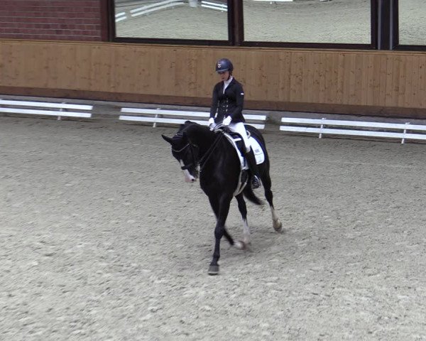Reitturnier Hamburg-Friedrichshulde/Sylva Kuhrt 2023