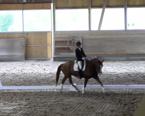 Reitturnier Urtenen-Schönbühl 2023