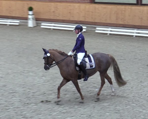 Reitturnier Hamburg-Friedrichshulde/Sylva Kuhrt 2023