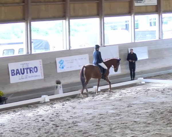Reitturnier Urtenen-Schönbühl 2023