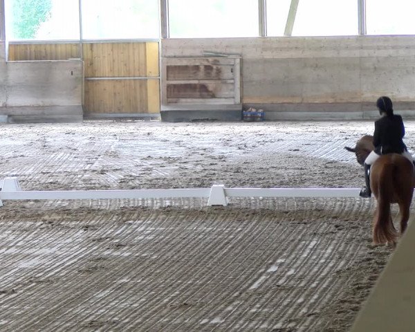 Reitturnier Urtenen-Schönbühl 2023