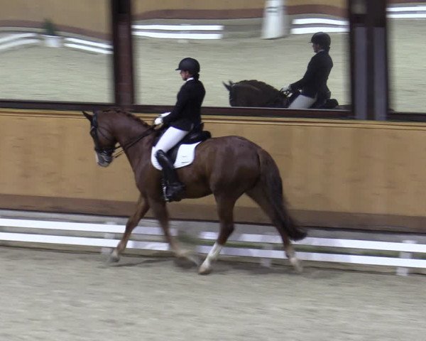 Reitturnier Hamburg-Friedrichshulde/Sylva Kuhrt 2023