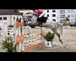 jumper I Lona (Holsteiner, 2016, from Brantzau)