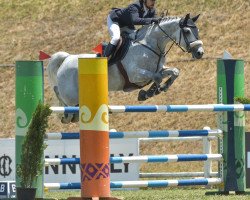 jumper Jaretina Bh (KWPN (Royal Dutch Sporthorse), 2014, from Dallas VDL Z)