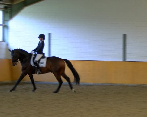 Reitturnier Frechen-Bachem 2023