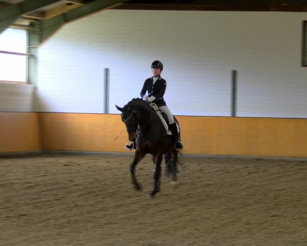 Reitturnier Frechen-Bachem 2023