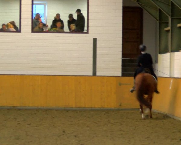 Reitturnier Frechen-Bachem 2023