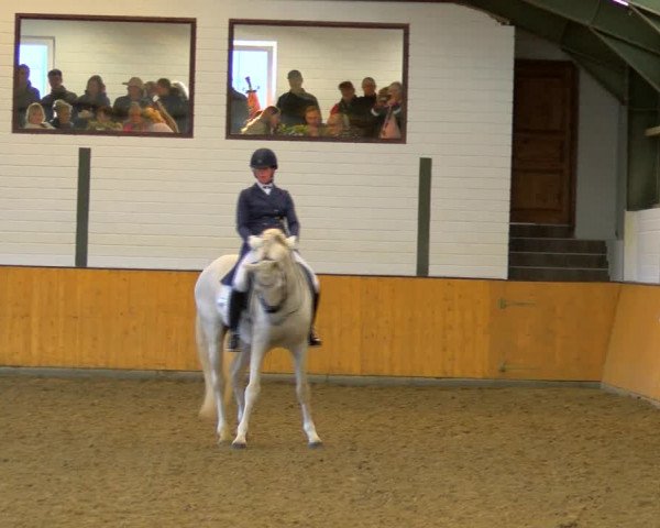 Reitturnier Frechen-Bachem 2023