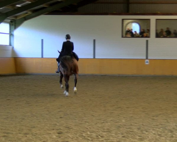 Reitturnier Frechen-Bachem 2023