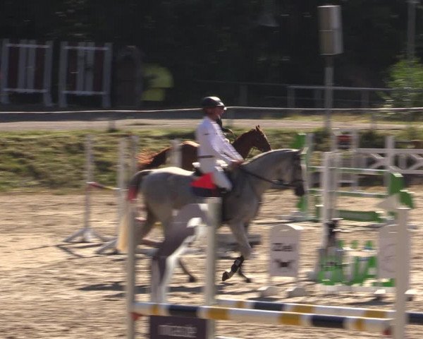 Reitturnier Lgl.-Oberhain, B95 2021