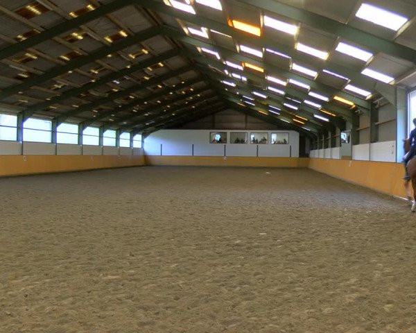 Reitturnier Frechen-Bachem 2023