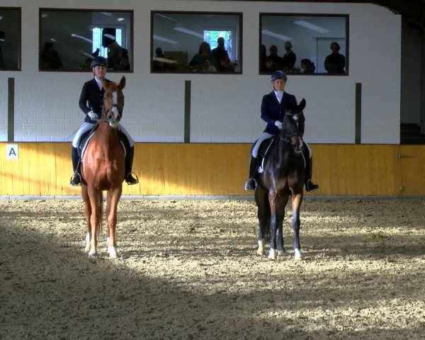 Reitturnier Frechen-Bachem 2023