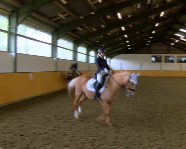 Reitturnier Frechen-Bachem 2023