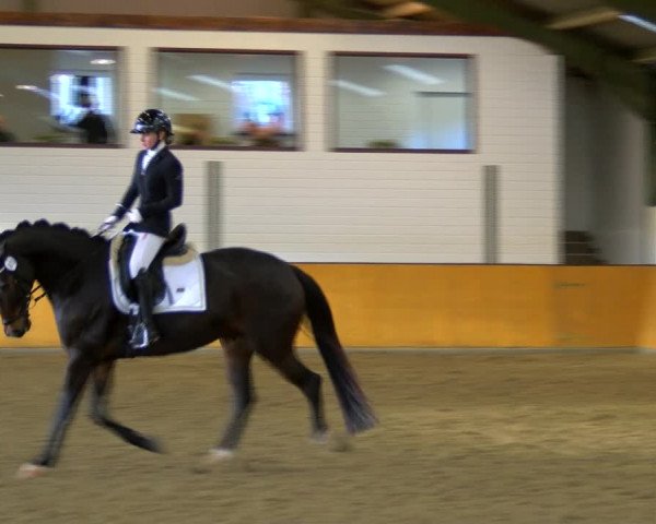 Reitturnier Frechen-Bachem 2023