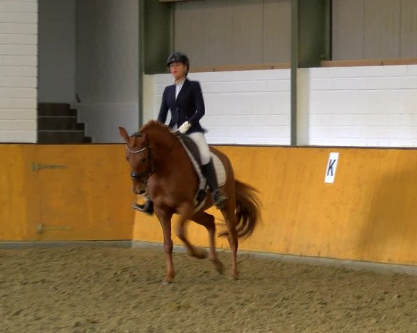Reitturnier Frechen-Bachem 2023