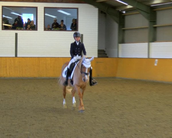 Reitturnier Frechen-Bachem 2023