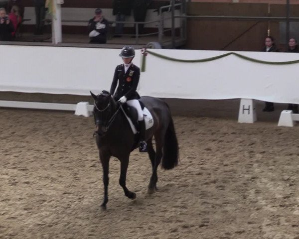 Reitturnier Marl, Hof Rohmann 2023