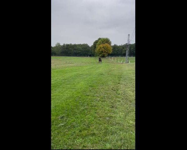 Video von Winniza 35