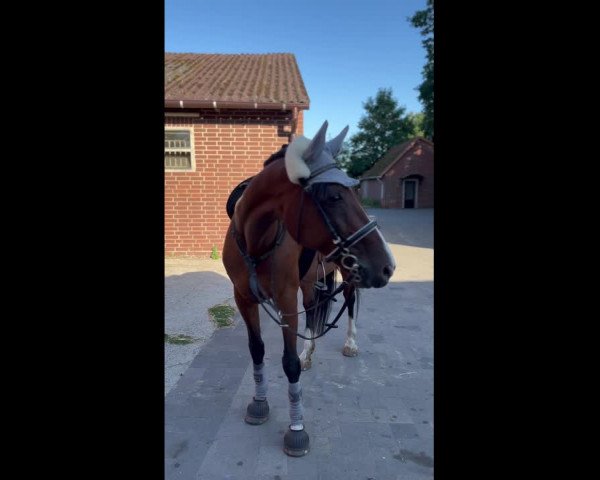 Video von Winniza 35