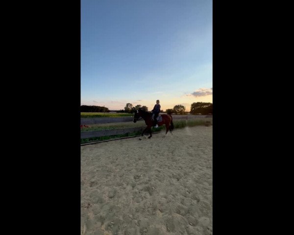 Video von Winniza 35